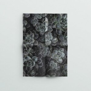 Freyja theme - Sparrow and Snow