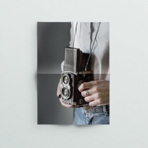 Freyja theme - Sparrow and Snow